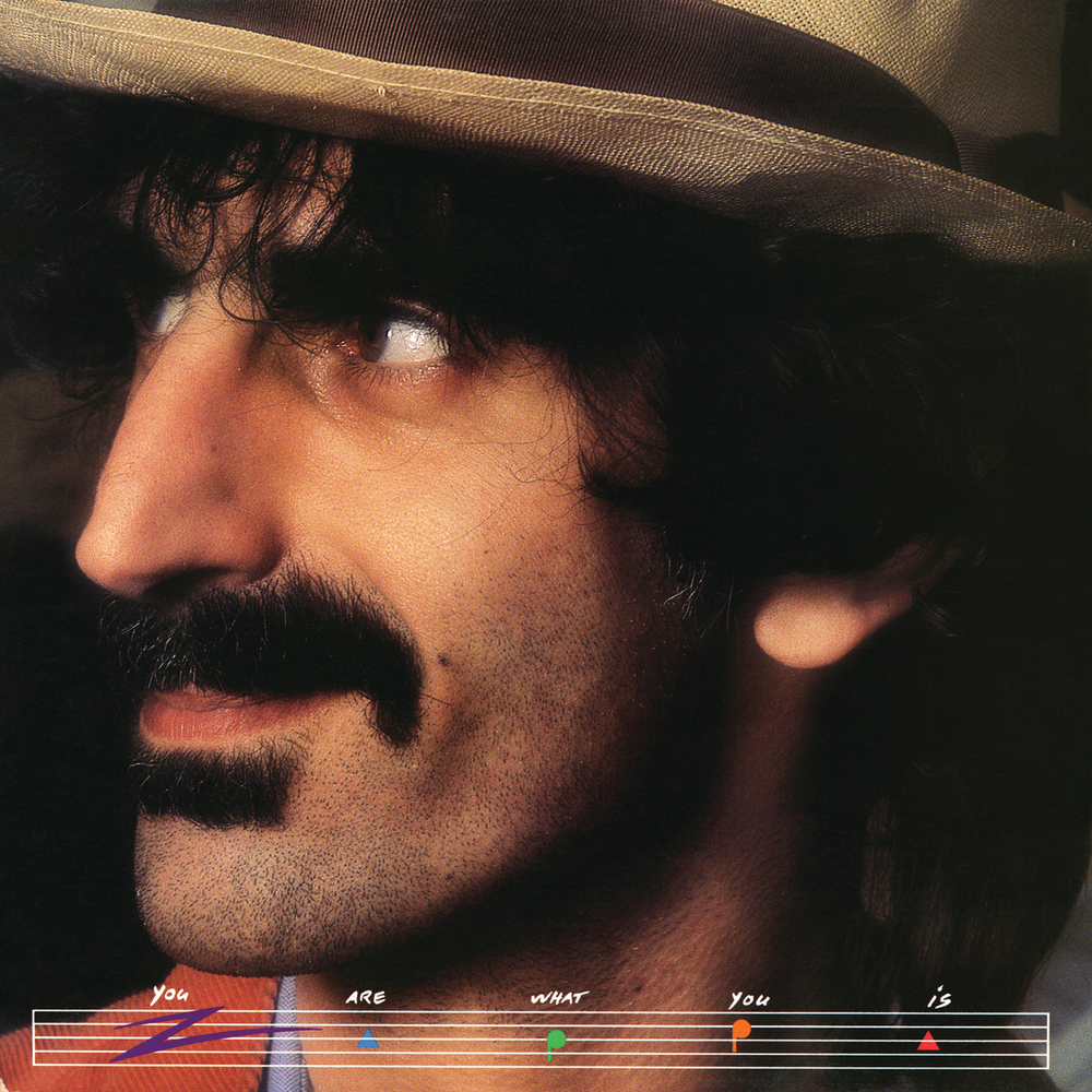 Frank Zappa, You Are What You Is in High-Resolution Audio