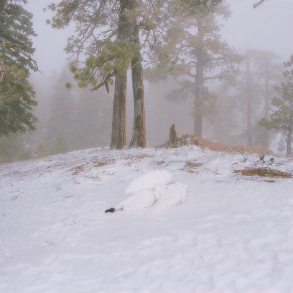 Wisp, Pandora in High-Resolution Audio - ProStudioMasters