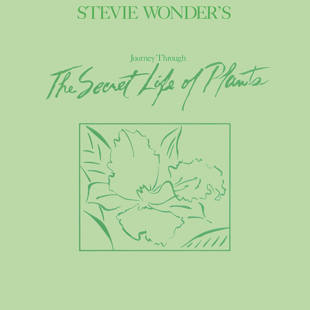 Stevie Wonder, Journey Through The Secret Life Of Plants in High