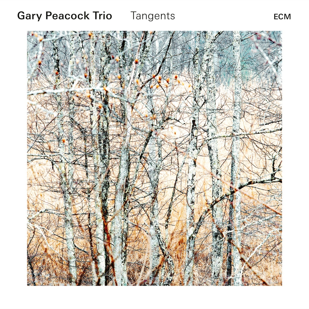Gary Peacock Trio, Tangents in High-Resolution Audio