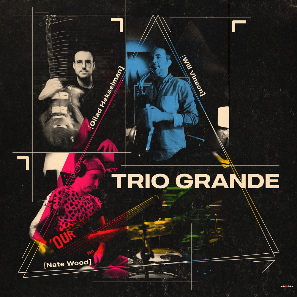 【限定LP】Gilad Hekselman 『TRIO GRANDE』 レコード Will Vinson; Gilad Hekselman; Nate Wood, Trio Grande: What's Left