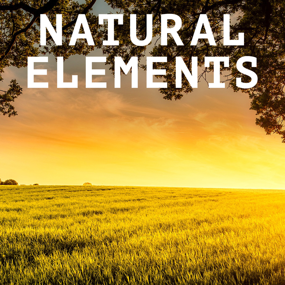 Art Phillips, Natural Elements in High-Resolution Audio