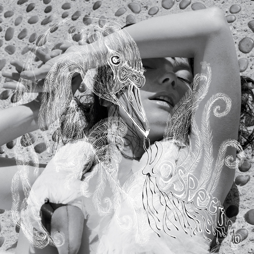 む*ら様 ビョーク ポスター Vespertine Bjork Bjork, Vespertine in High-Resolution Audio - ProStudioMasters